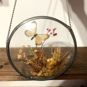 Vintage pressed dried flowers framed